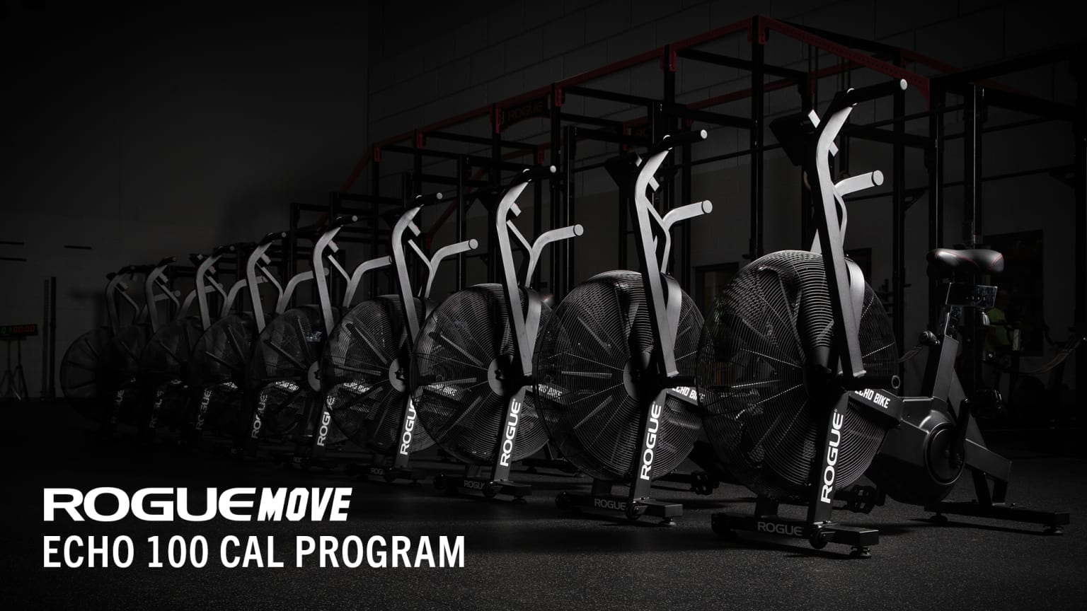 Rogue Move Echo 100 Cal Program eBook